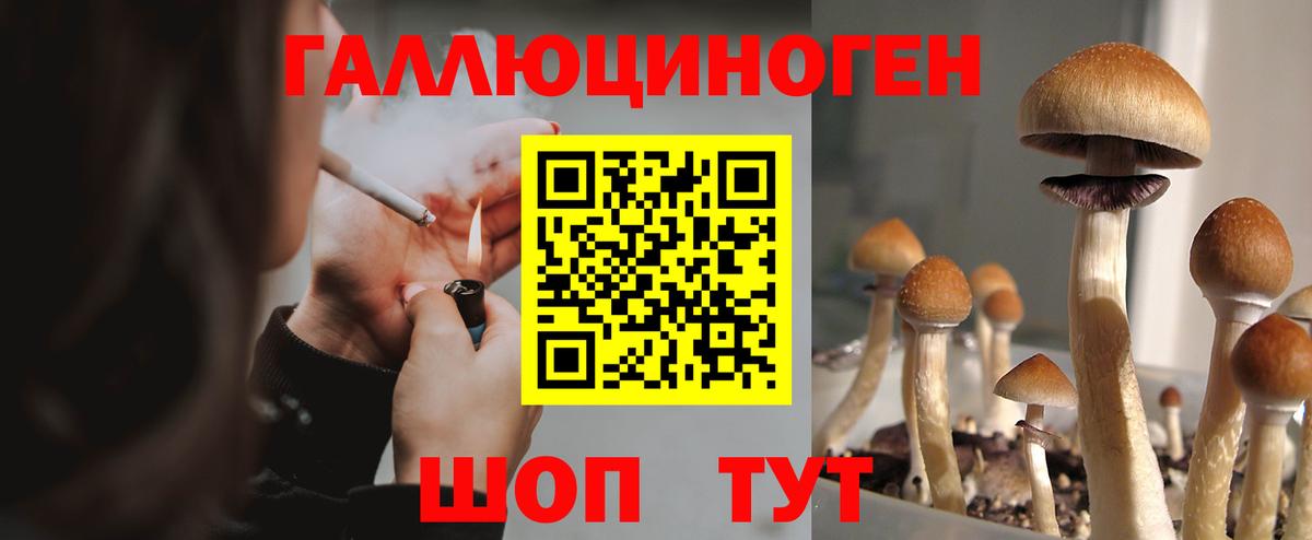 Псилоцибиновые грибы Magic Shrooms Нефтекумск